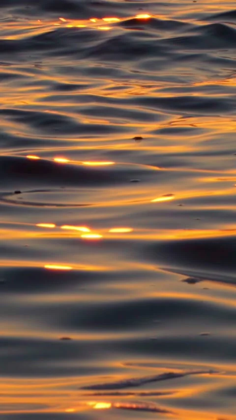 Sunlight sparkles on the calm waves of the lake. Vertical video. Stock Footage 267646807