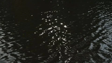 Sunlight sparkles on the surface of a body of water in the early morning. The Stockbeeldmateriaal 344527456