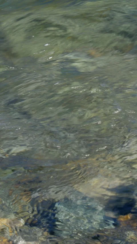 Sunlight Sparkling on Clear Mountain Stream Vertical Video Stock-Footage 346000433
