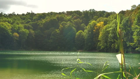 Sunlight sparkling on emerald green lake water with forest Stock Footage 346538884