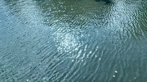 Sunlight sparkling in a flowing blue river. Close-up Stock Footage 304242463