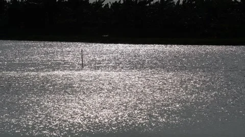 Sunlight sparkling Stock-Footage 344815879