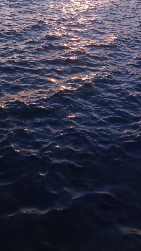 Sunlight Sparkling on Gentle Ocean Waves During Sunset. Stock Footage 346298242