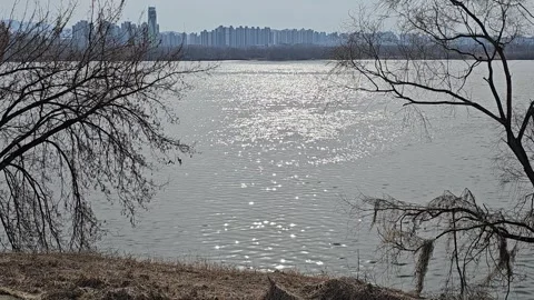 Sunlight Sparkling on Han River Water Near Paldang Bridge Vídeos de archivo 330754622