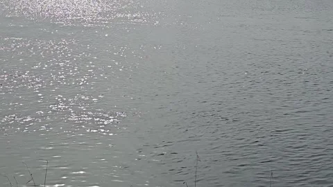 Sunlight Sparkling on Han River Water Near Paldang Bridge Vídeos de archivo 330754902