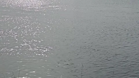 Sunlight Sparkling on Han River Water Near Paldang Bridge Stock Footage 330760535