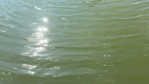 Sunlight Sparkling On A Lake Surface Stock Footage 281663977