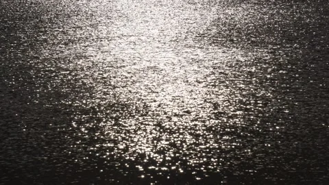 Sunlight sparkling on rippling water Stock Footage 320004837