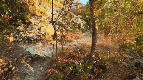 Sunlight spills over rugged cliffs and autumn trees. Soko Grad, Serbia 動画素材 345896351