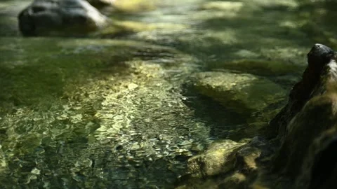 A sunlight spot on a mountain stream in summer (slow motion) Stock-Footage 262089652