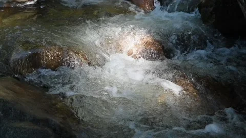 A sunlight spot on the water of a mountain stream (slow motion) Stock-Footage 219388879