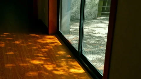 Sunlight streamed through the floor-to-ceiling windows, casting dappled shadows Stock Footage 330634179