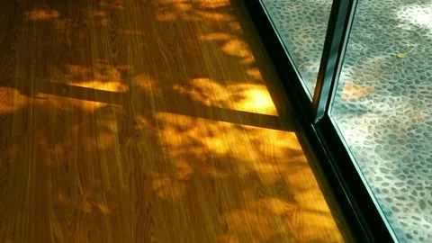 Sunlight streamed through the floor-to-ceiling windows, casting dappled shadows Stock Footage 330634195