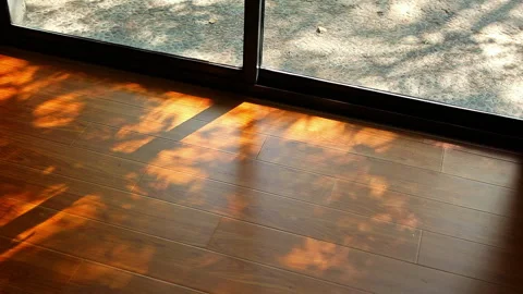 Sunlight streamed through the floor-to-ceiling windows, casting dappled shadows Stock Footage 330634222