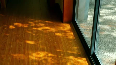 Sunlight streamed through the floor-to-ceiling windows, casting dappled shadows 스톡 동영상 330634233