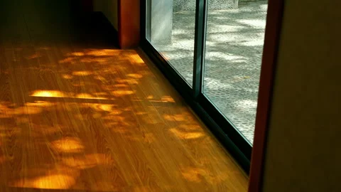 Sunlight streamed through the floor-to-ceiling windows, casting dappled shadows Stock Footage 330634241