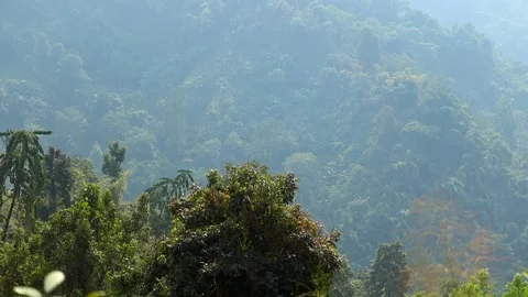 Sunlight Streaming Over Lush Forested Mountain Hills Video stock 329838988