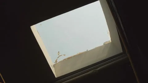 Sunlight streaming into the room through the patio window Stock Footage 163105398