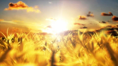 Sunlight streaming through clouds above golden fields Vídeos de archivo 32935069