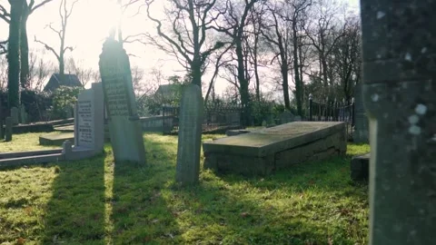 Sunlight streaming through historic cemetery with weathered tombstones Stock-Footage 292924496