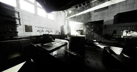 Sunlight streaming through industrial kitchen windows creates dramatic shadow Stock Illustration