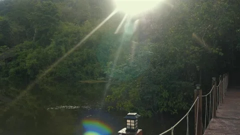 Sunlight streaming through lush green trees over serene lake next to Видео 281274332
