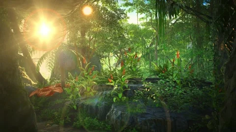 Sunlight streaming through lush tropical rainforest foliage with vibrant exotic Stock Footage 346359275