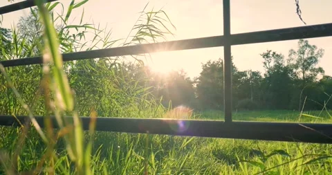 Sunlight streaming through rustic farm gate onto green field Stock Footage 293943437