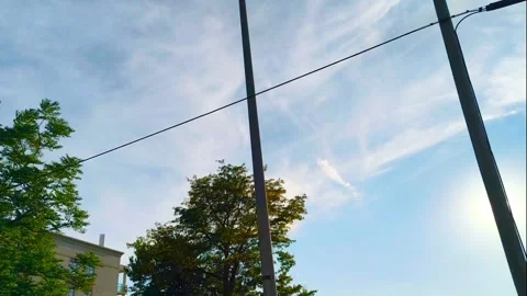 Sunlight streaming through tall pine trees against a soft blue sky, capturing 動画素材 318311158