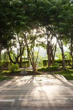 Sunlight streaming through the trees and shadows on the streets Stock Photos