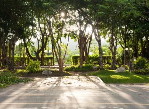 Sunlight streaming through the trees and shadows on the streets Stock Photos