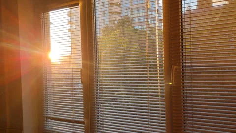 Sunlight streaming through window blinds creates a warm and cozy atmosphere Stock Footage 289464656
