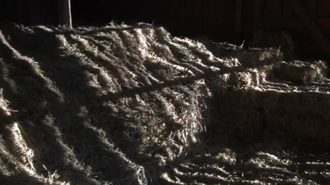 Sunlight streams and rays on Hay stack in Swedish barn - Abstract lights Stock Footage 291343803