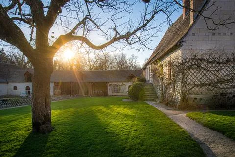 Sunlight streams through the branches of a large tree, illuminating a charm.. Stock Photos