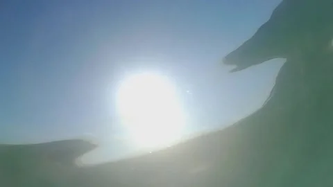Sunlight streams through the crystal-clear waters of the Greek sea Vídeo Stock 340591430