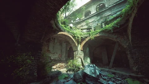 Sunlight streams through a nature clad, abandoned building Stock Footage 313980731