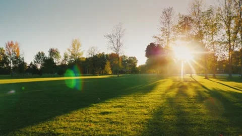 Sunlight streams through trees casting long shadows on a grassy field durin.. Видео 335059339