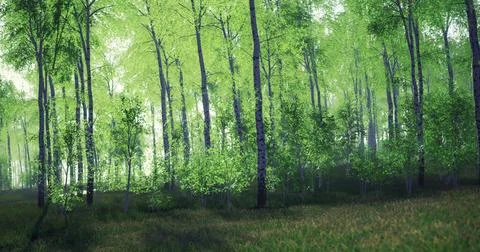 Sunlight streams through the vibrant green leaves in a tranquil forest Ilustração Stock