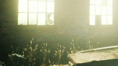 Sunlight Streams Through Windows of an Old Brick Wall Stock Footage 348247413