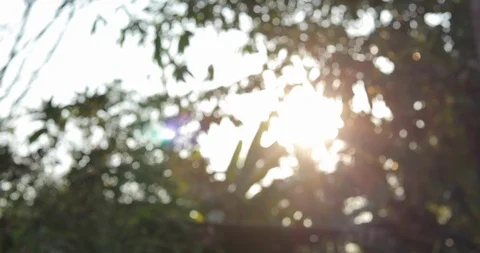 Sunlight in summertime, abstract blur green bokeh light in nature Stock Footage 86788326
