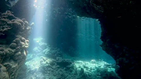 Sunlight sunbeams dancing in underwater cave Vídeo Stock 316151917
