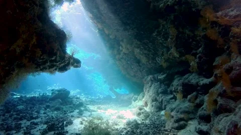 Sunlight sunbeams dancing in underwater cave Stock Footage 316282742