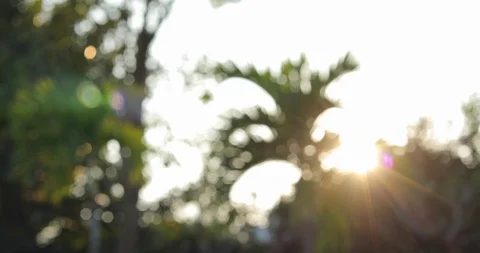 Sunlight of sunset in summertime, blur defocused scene Stock Footage 88322198