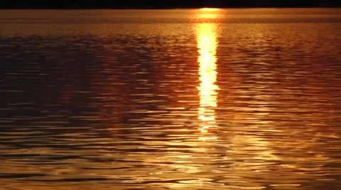 Sunlight on the surface of the water Stock Footage 56606777