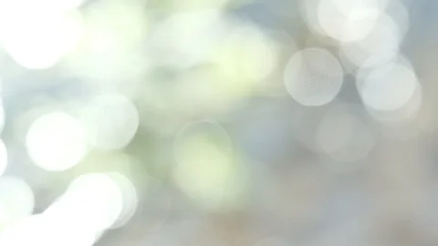 Sunlight texture background Stock Footage 90930751