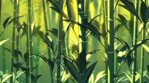 Sunlight Through Bamboo Forest – Peaceful Nature Loop 4K Stock Footage 337317038