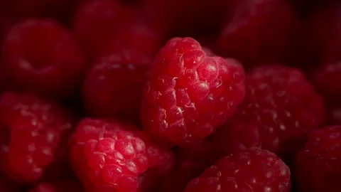 Sunlight through branches illuminating fresh raspberries. 動画素材 328985707
