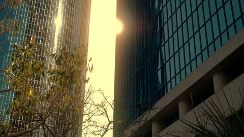 Sunlight through buildings and trees. Sunbeams in Downtown Los Angeles. City. Stockbeeldmateriaal 106167348