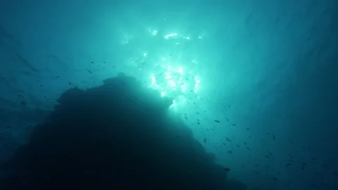 Sunlight through clear blue water, tropical fish swimming, underwater view Stock Footage 221845585