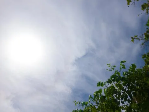 Sunlight through clouds and tree branches Stock Photos